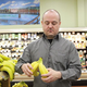 Illustration for article titled Sad Man Tears 2 Bananas Off Larger Bunch